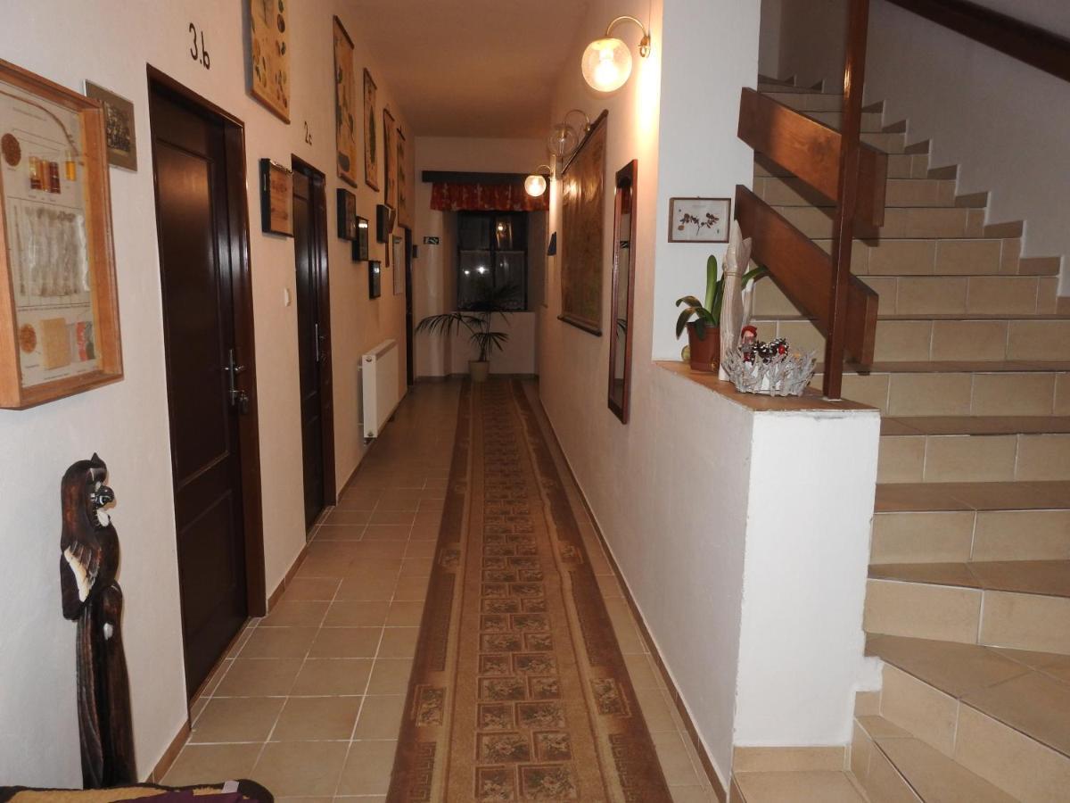 Hotel Stará škola na Šumavě Hořice na Šumavě Esterno foto